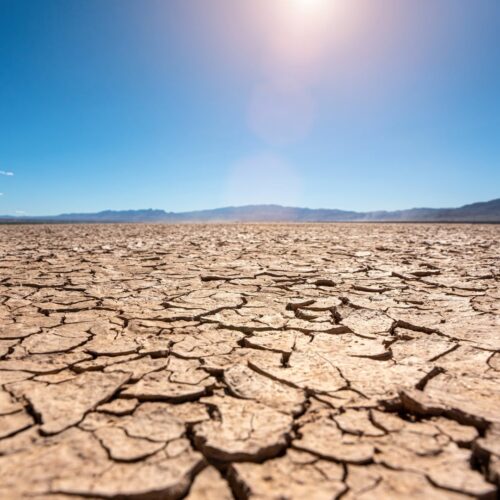 UDD se adjudica uno de los fondos más competitivos de investigación del país: Anillo Temático ANID 2025 