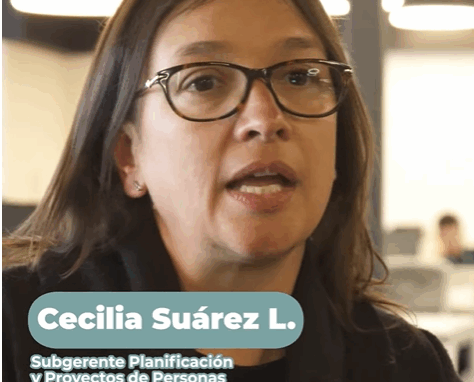 Previsualización de 'Empleabilidad - Ingeniería Civil Industrial'